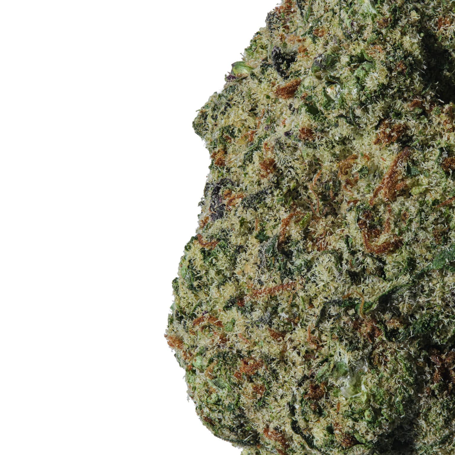 Mochi THCa