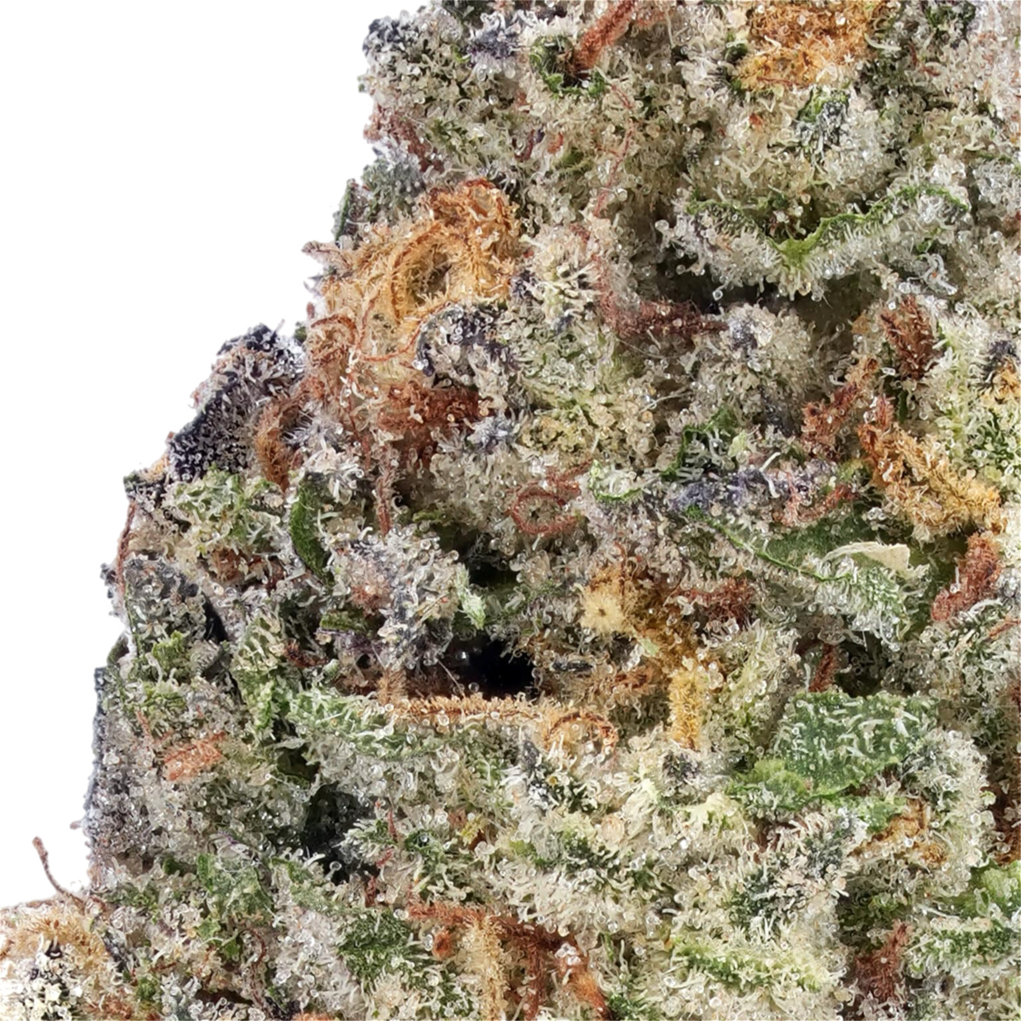 Donny Burger THCa