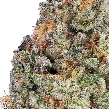 Donny Burger THCa