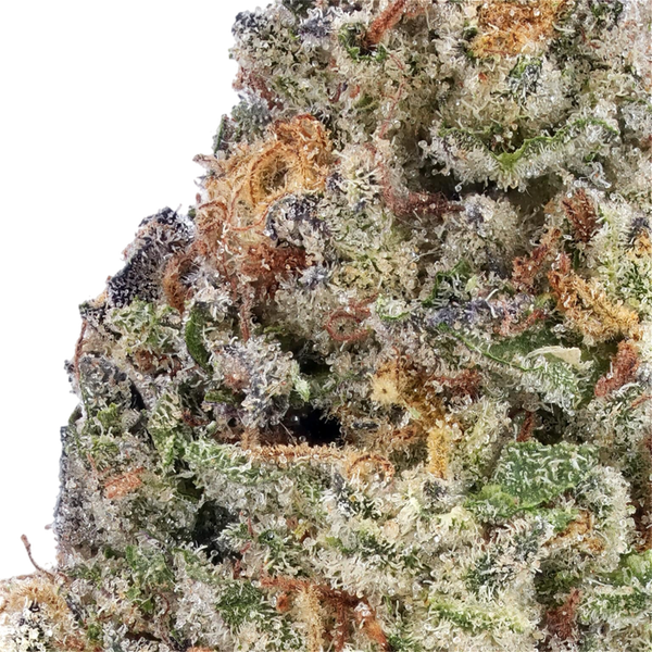 Donny Burger THCa