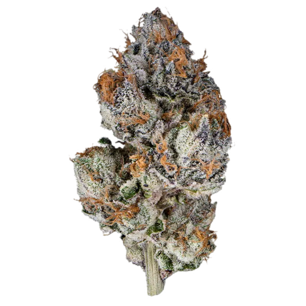 Lemon Pastries THCa