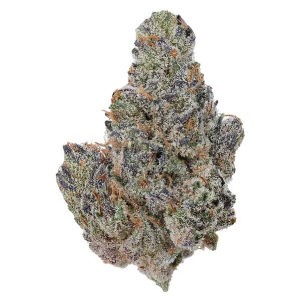 Jelly Truffle THCa