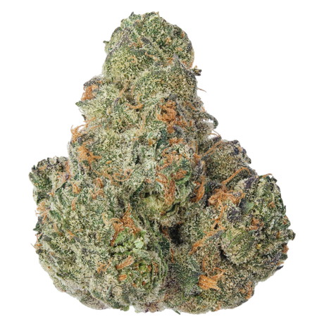 A close-up image of a cannabis bud with a snow-like appearance due to its white trichomes.