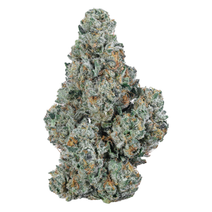 Jet Fuel Gelato THCa