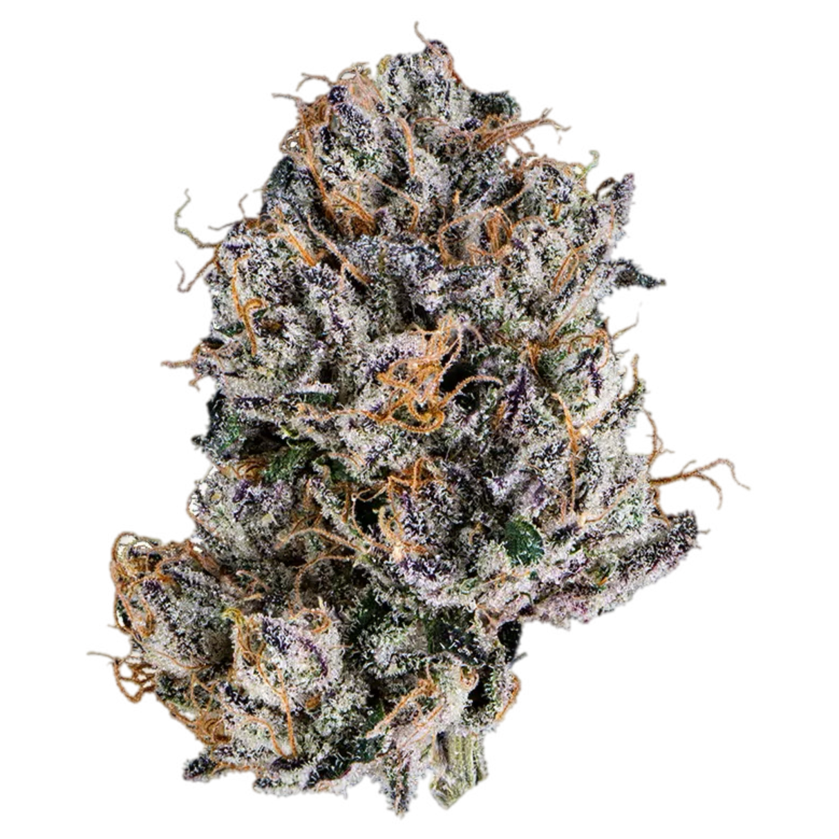 White Cherry Gelato