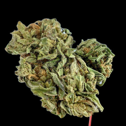 Durban Poison Flower.